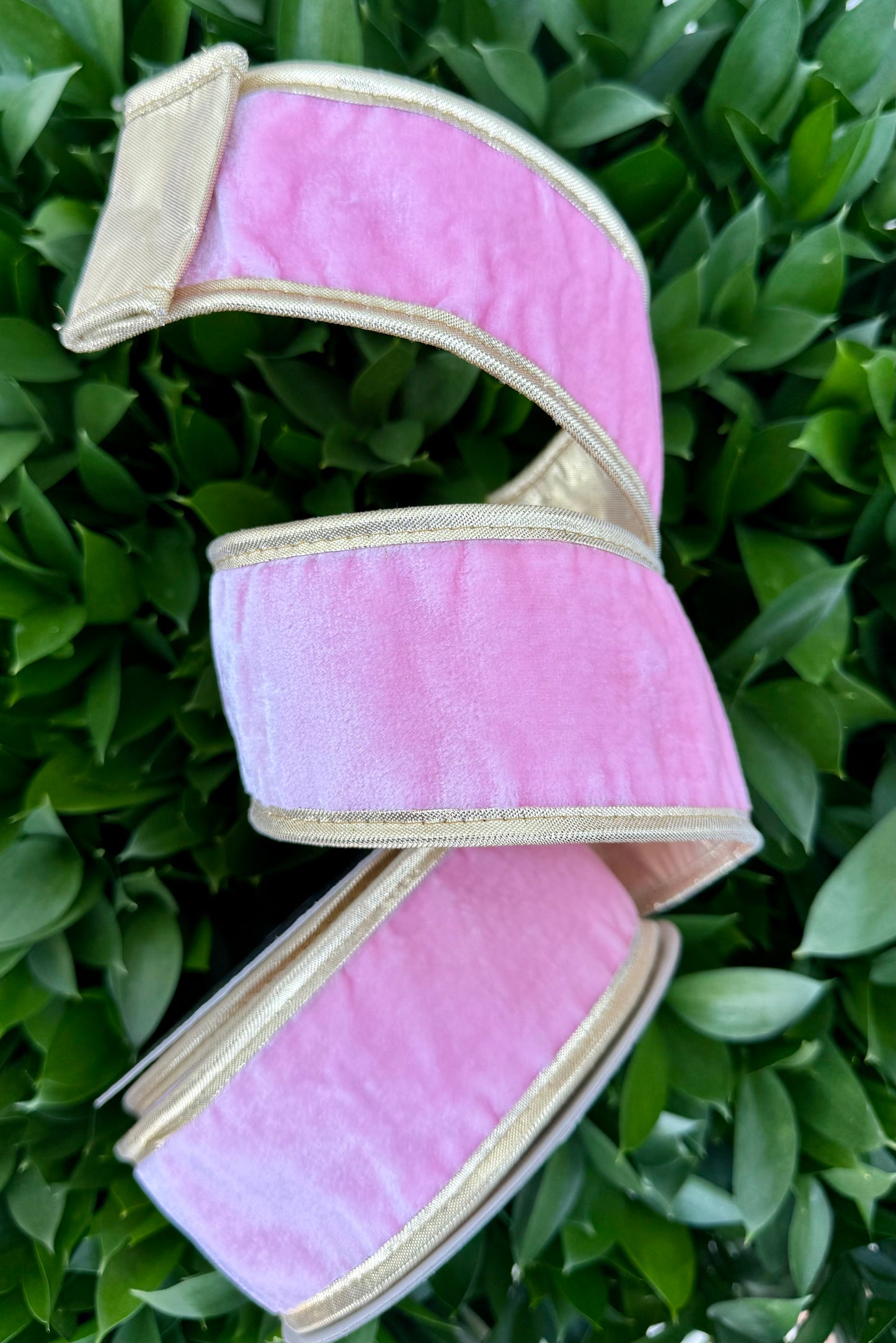 JME heavy wired ribbon. PINK Velvet with Gold Metallic Back