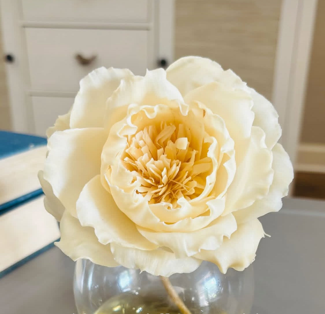 Paper flower oil diffuser with glass bubble vase. SINGLE BLOOM. “Y’all” scent. A Beautiful scent of Saltwater, driftwood and citrus!
