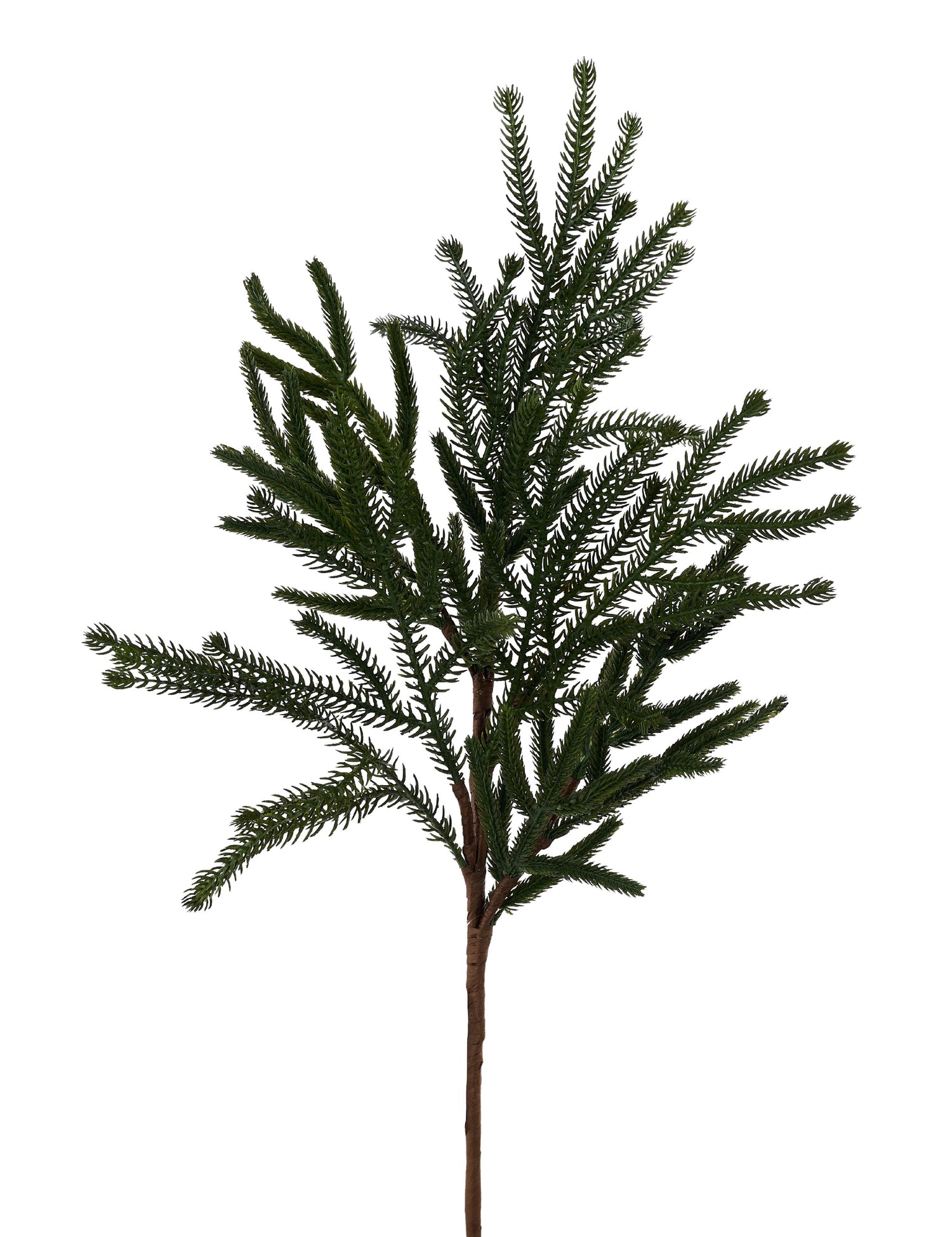 24"L Willow/Norfolk Pine Spray
