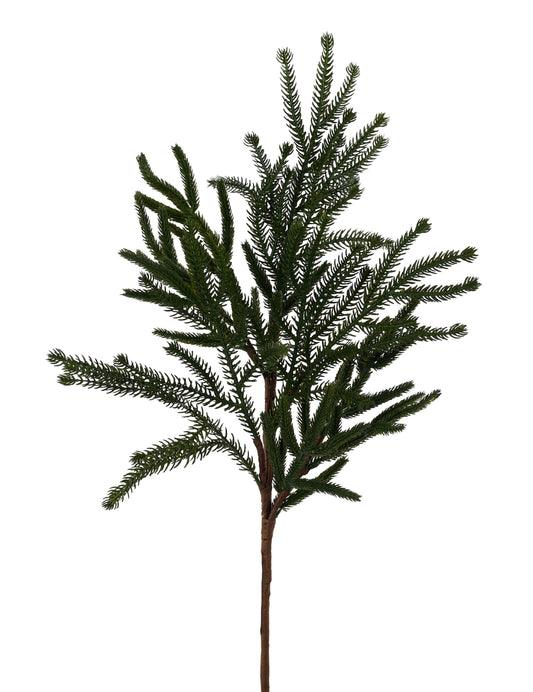 24"L Willow/Norfolk Pine Spray
