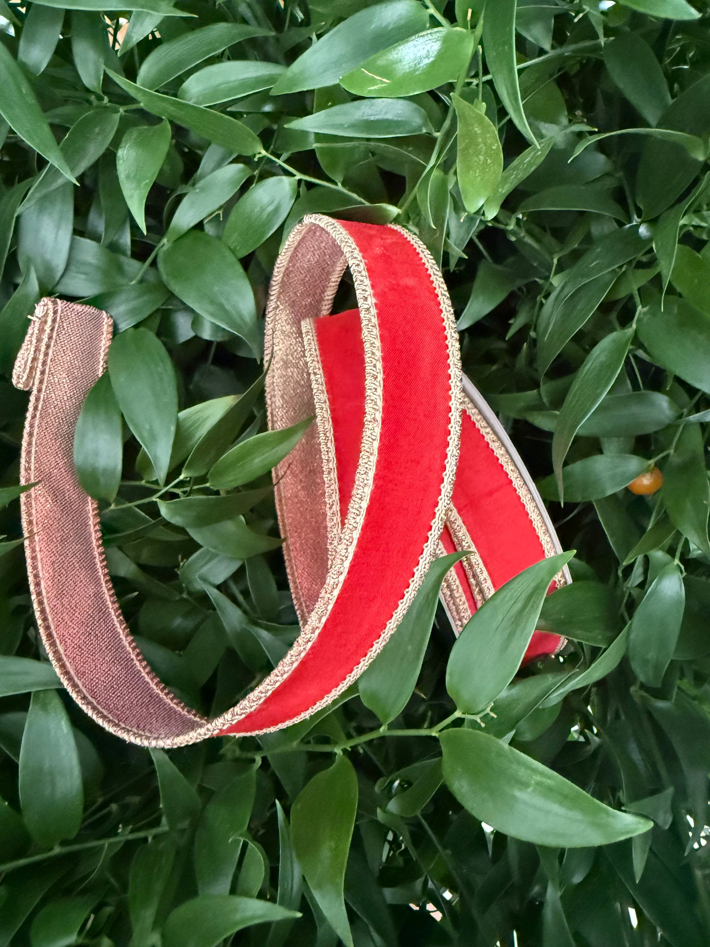 JME heavy wired ribbon. RED Dupion with Red/Gold Mesh Back 1"x 10YDS