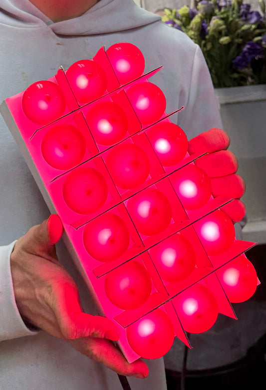 Vintage inspired ROUND bulb lights. HOT PINK. Glass bulbs, 18 lights per strand can connect up to 19 strands into end. LEDG4 light bulb set. 15 feet in length and lights are spaced out every 10 inches.