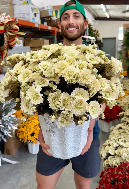 Faux WHITE/CREAM mum pot fillers. Can fluff out after shipping. Container (the white pot that will go inside your pot) the mums are in is 10inches wide by 9inches tall.