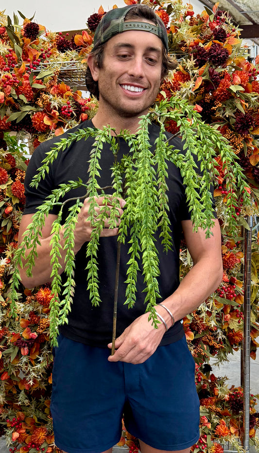 Faux Hanging green willow plant. 32 inches long.