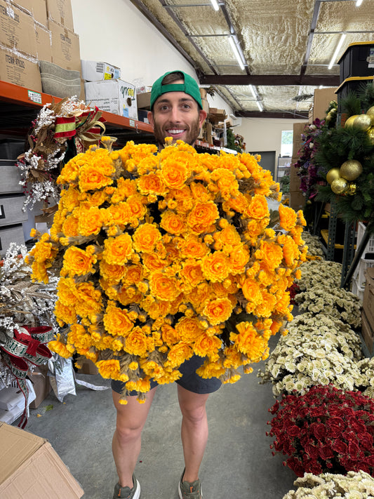 Faux YELLOW mum pot fillers. Can fluff out after shipping. Container (the white pot that will go inside your pot) the mums are in is 10inches wide by 9inches tall.