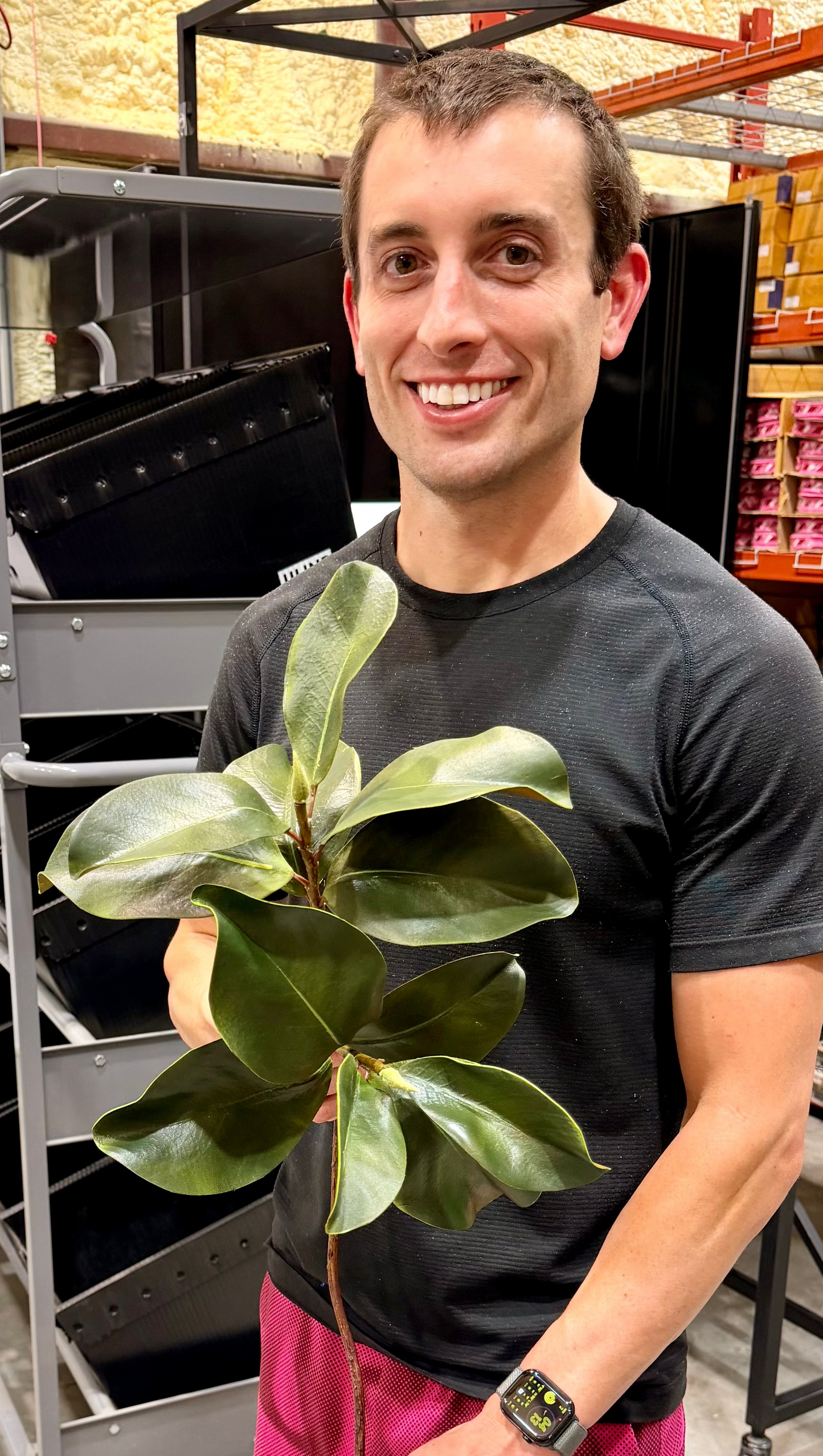 28in Magnolia Leaf Spray