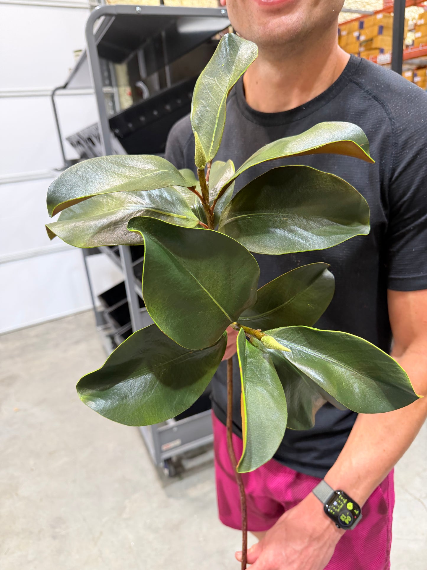 28in Magnolia Leaf Spray