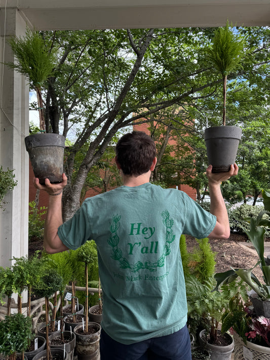 Hey Y'all T-Shirt