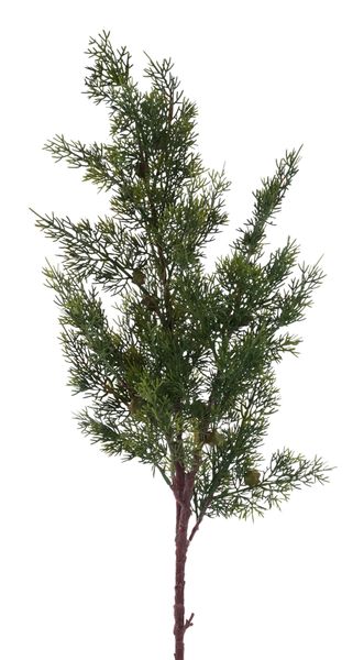 34"L Cedar/Cone Buds Spray
