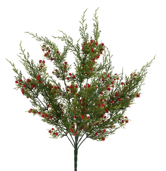 21"L Red Oregon Juniper/Berry Bush
